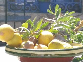 Posada Les Tajines Bleus