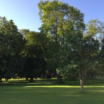 Albergue Vadstena Folkh�gskola