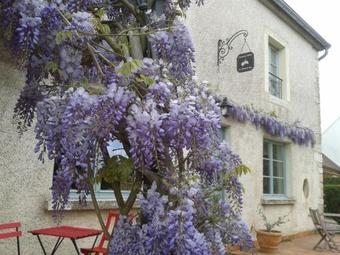 Bed & Breakfast Le Tilleul De Ray