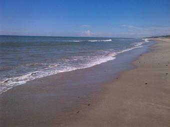 Bed & Breakfast El Delfin