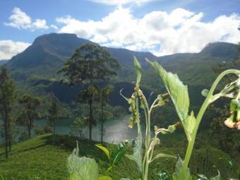 Bed & Breakfast B.rose House