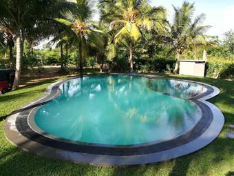 Hostal The Nature Park Villa