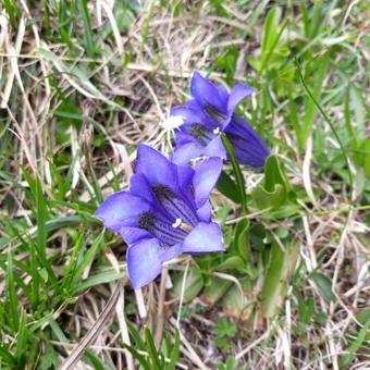 Hotel-restaurant Waldrand