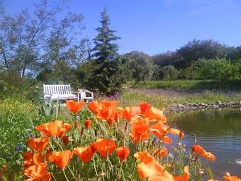 Agroturismo La Carapeteria