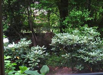 B&B Atelier Maarbeek