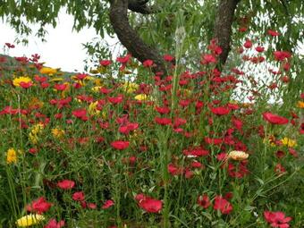 Apartamento Abadia De Cal Bess�