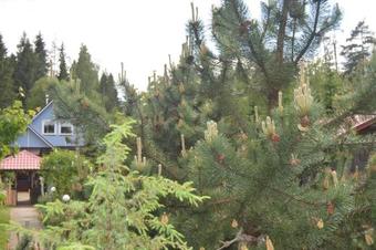 Agroturismo House U Chetyrekh Ozer