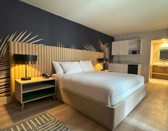 The Harrison Hotel Downtown Hollywood