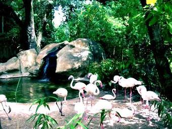 Hotel Best Western Inn Suites & Conference Center