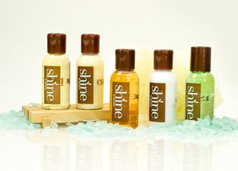 Sheraton Baltimore Washington Airport - Bwi Hotel