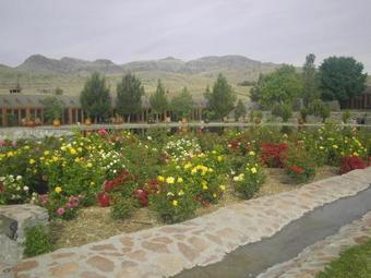 Hotel Cibolo Creek Ranch