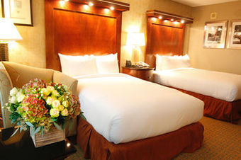 Hotel Hilton Boston/woburn