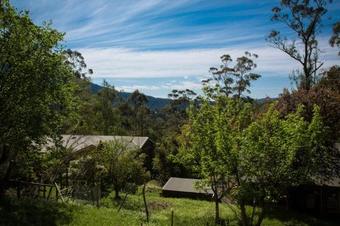 Bed & Breakfast Buttercup Hill