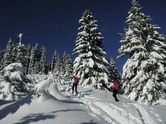 Apartment Erzberg Appartement E