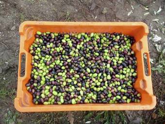 Holiday Home Chalet Graffi