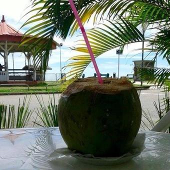 Hotel H�tel Des Amandiers