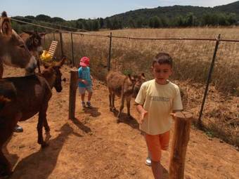 Agroturismo Giardino Di Maremma