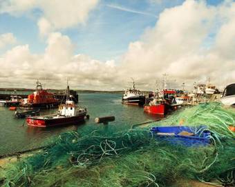 Garryvoe Beach Homes