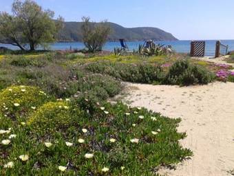 Apartamento Il Giardino Di Sabbia