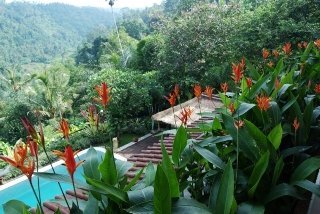 Hotel The Payangan Hideaway