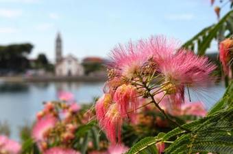 Hostal Twin Room Pasman 4309a