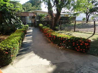 Ver fotos