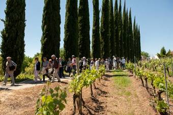 Bed & Breakfast Ch�teau De Rouffiac