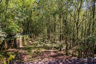 Liiiving In Caminha | Oak Tree Chill House