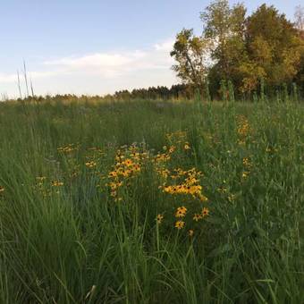 Bed & Breakfast The Outing Lodge