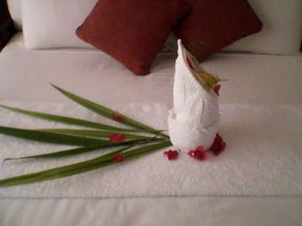 Hotel Okavango Roadside Guesthouse