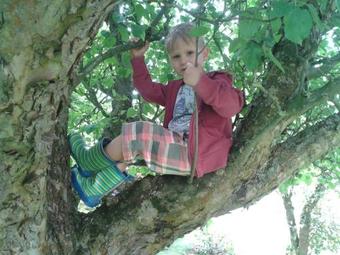 Apartamento Ferienhof Zinn