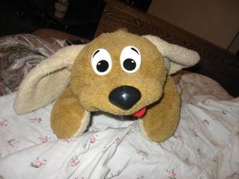 Apartments Victory Square