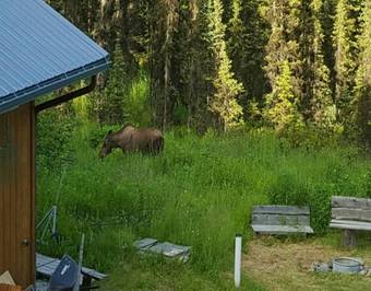 Southern Bluff Bed & Breakfast