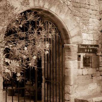 Hotel Ch�teau D'arpaillargues Ch�teaux Et H�tels Collection