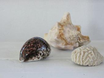 Vintage Holiday Home In Huisduinen Coast Guard, Beach Nearby