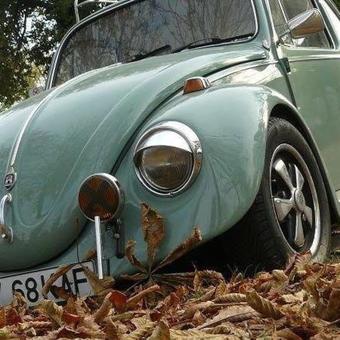 Hostal Vila Old Cars