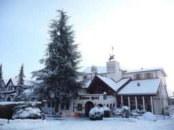 Schloss-hotel Am See - Swiss-chalet Merlischachen