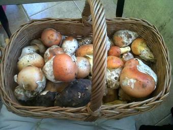 Apartamentos La Dama Azul