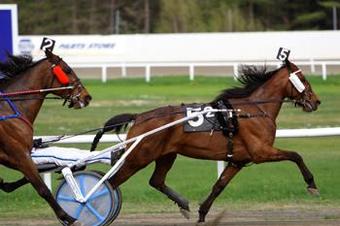 Hotel Best Western Malmia