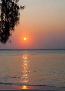 Hotel Michamvi Sunset Bay Resort