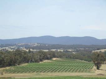 Apartamento Summerfield Winery And Accommodation