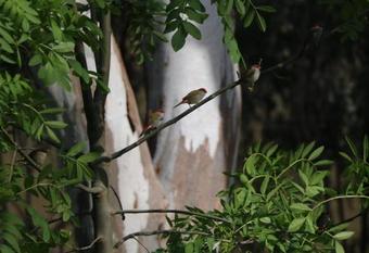 Deniliquin Riverside Caravan Park