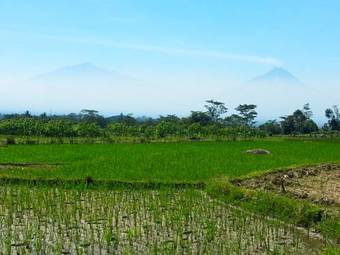 Hostal Janur Bungalow