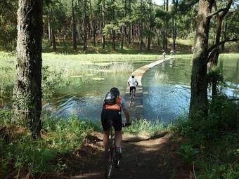 Lodge Ingeli Forest Resort