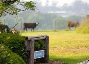 Agroturismo Barrington Hideaway- River Cottages