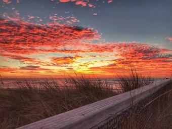 Beach Haven Poolside