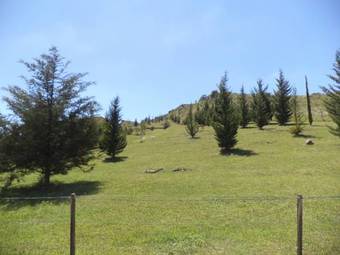 Lodge El Ayllo - Caba�as Serranas