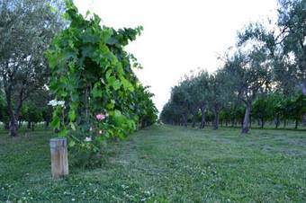 Apartamento Finca Fisterra