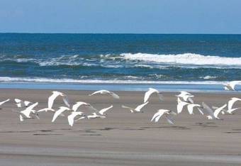 Hostal Nosso Chal� Na Ilha