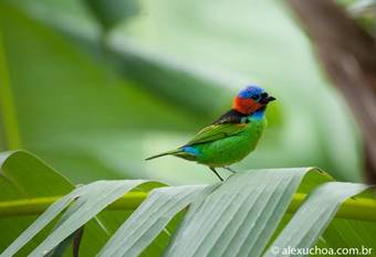 Hostal Casar�o Dos Uchoa